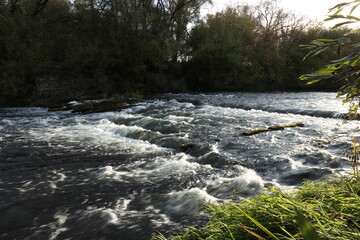 Raging flow of water through the sunken logs of a destroyed dam