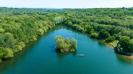 Lake and forest. Aerial view of animals swimming in the lake. A drone-captured lake and forest scenery