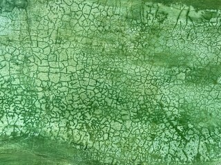 Green plaster wall with crackle texture background in Oaxaca, Mexico.