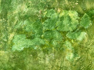 Green plaster wall with crackle texture background in Oaxaca, Mexico.