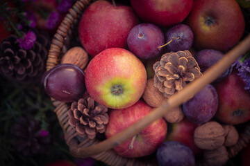 Close-up basket autumn fruits