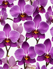 Background with patterns and texture of spring flowers, orchid background.