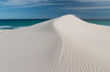 wind formed white sand dune on the coast, De Hoop Nature Reserve, Overberg, South Africa