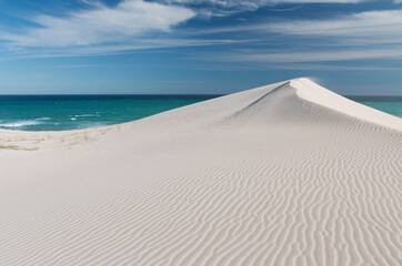 white sand dune with the ocean in the background, De Hoop Nature Reserve, Overberg, South Africa