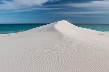 white sand dune, blue sky and ocean, De Hoop Nature Reserve, Overberg, South Africa