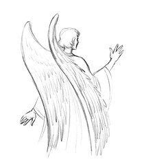 Pencil drawing. The angel Gabriel