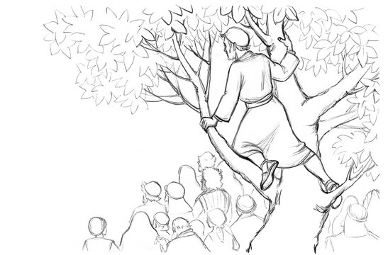 Zacchaeus. The man in the tree looks out into the crowd. Pencil drawing