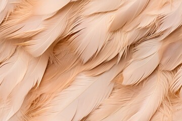 Beautiful seamless pattern with beige bird feathers, endless texture. Fabric template. Organic background.