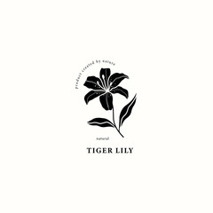 Flat vector tiger lily illustration