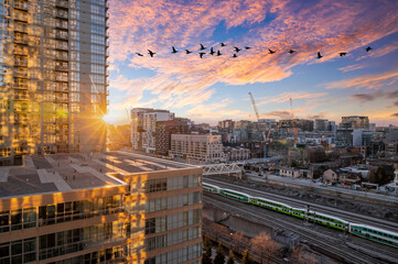 Toronto Sunset: Vibrant Skyline, Tranquil Train Tracks, and Emerging Buildings. Witness a stunning...