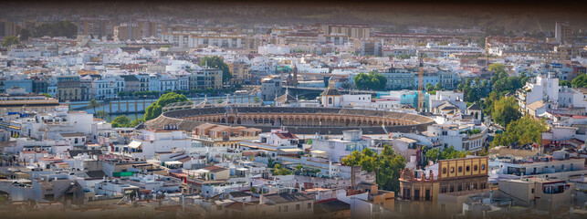 Naklejka premium Sevilla ciudad histórica y monumental de la antigua europa