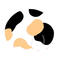 Cat Paw Cartoon illustration Cute Cat Cat Sticker Cute Element Calico Cat Paw