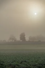 Room darkening curtains Morning with fog Strong fog above field