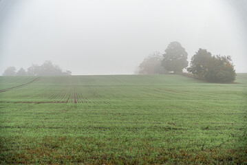 Strong fog above field