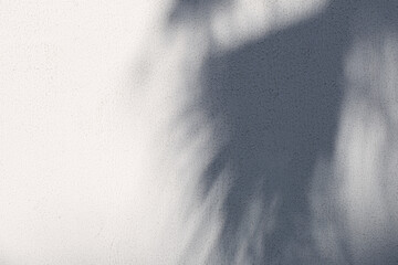 background of shadows of palm leaves on the wall in sunlight