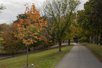 Naklejka premium The colours of fall