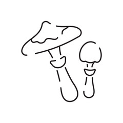 Vector Mushroom line icon, outline vector sign, linear pictogram mushroom symbol isolated on white. logo illustration