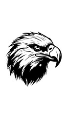 eagle head isolated on white, mascot vector, cartoon, illustration