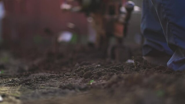 Close-up of process plowing land with machinery. Spinning blades or gears weed field before new seedling of plants. Agriculture food industry. Growing and caring for farmland vegetable bed on field.