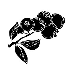 Silhouette, stencil of wild blueberry.Vector graphics.