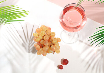 Modern still life with white wine and grapes, alcoholic cocktail, martini or margarita on elegant modern background, minimal concept for bar and holiday party, cafe, advertising banner,