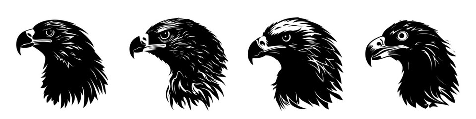 Eagle head silhouette. Set of black and white images of eagle head