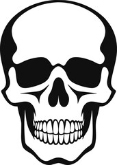 Hand Drawn Skeleton Head. Skull Vector Illustration