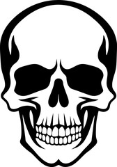 Hand Drawn Skeleton Head. Skull Vector Illustration