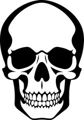 Hand Drawn Skull Vector Illustration Human Skeleton Head.Skull Icon,Skeleton Head Vector