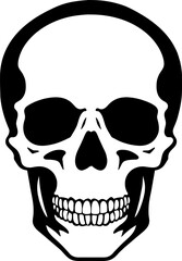 Hand Drawn Skeleton Head. Skull Vector Illustration