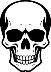 Hand Drawn Skeleton Head. Skull Vector Illustration