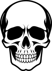 Skull face, front view. Ink black and white drawing. Vector illustration