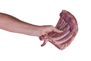 Butcher holding the ribs of a deer meat isolated on white