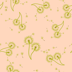 Dandelion background your design. Abstract floral seamless pattern.