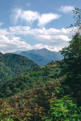 Obraz premium Beautiful mountain landscape in summer