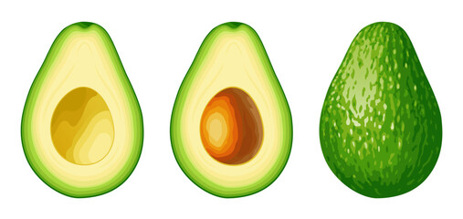 Avocado. Avocado set isolated on white background. Whole green avocado, cut in half, half with pit.