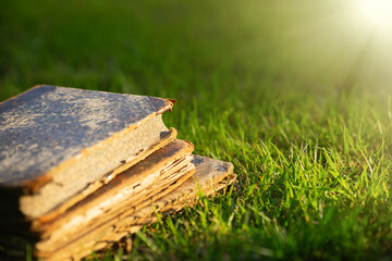 Old antique books lie on the green grass in the rays of the sun.Reading books in nature.Vintage...
