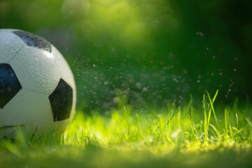 A soccer ball on the green grass.Morning workouts in nature.A ball on the wet grass in dew drops.