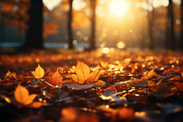 Naklejka na ściany i meble Bright, golden sunlight filtering through autumn leaves, creating a warm, inviting ambiance. Concept of autumn sunlight. Generative Ai.