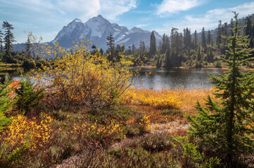 Picture Lake with snow-capped Mount Shuksan in the background showing autumn colors. Home to one of...