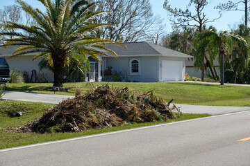 Broken tree limbs and branches on roadside from hurricane wind in Florida residential area....