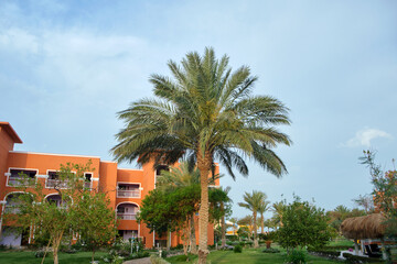 Modern resort hotel in tropical country, palm tree against blue sky. Tourism and recreation