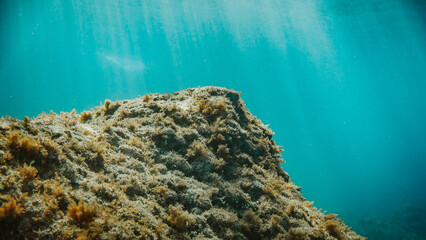paysage sous marin