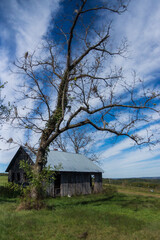 Old Abandoned homestead house with tree and cloud filled blue sky