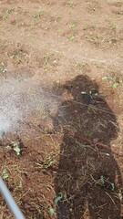 in the ground