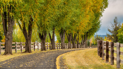 A country road surrounded by fall color in Bend Oregon during autumn.