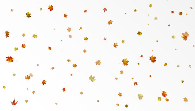 Realistic falling autumn leaves. Autumn flying orange foliage on transparent background, isolated template vector illustration