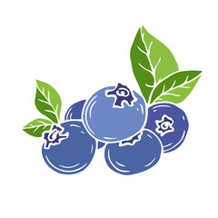 Wild blueberry berries. Vector graphics.