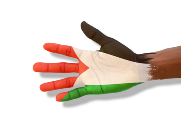 Opened palm painted in Palestinian flag colors. Hand in paint stretched and isolated on transparent background