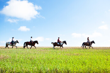 Young women equestrians gallop on horses through a field.